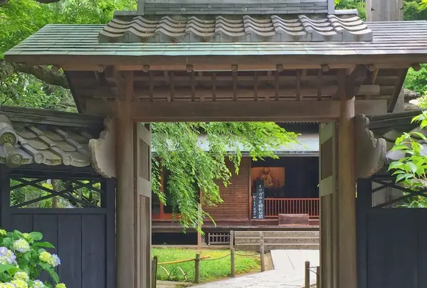 東慶寺の写真・動画_image_330576