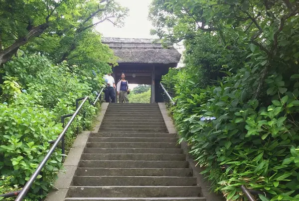 東慶寺の写真・動画_image_330578