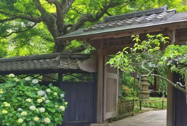 東慶寺の写真・動画_image_330579