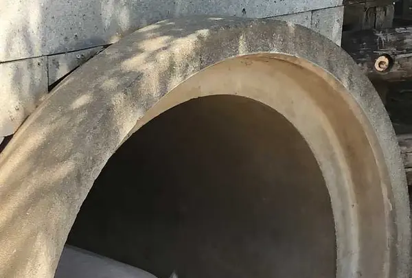 サイボク園内（旧：埼玉種畜牧場）の写真・動画_image_330884