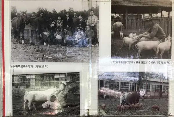 サイボク園内（旧：埼玉種畜牧場）の写真・動画_image_330890