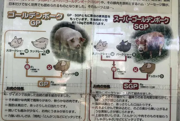 サイボク園内（旧：埼玉種畜牧場）の写真・動画_image_330893