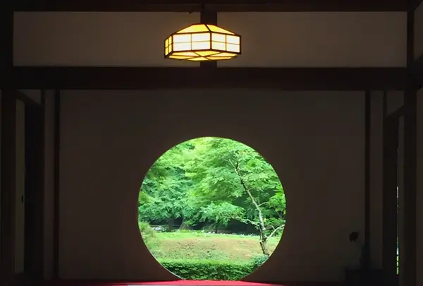 明月院（あじさい寺）の写真・動画_image_331191