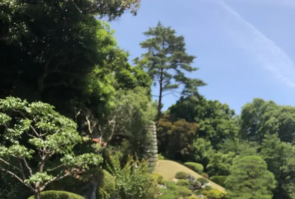 高麗山聖天院 正門の写真・動画_image_331618