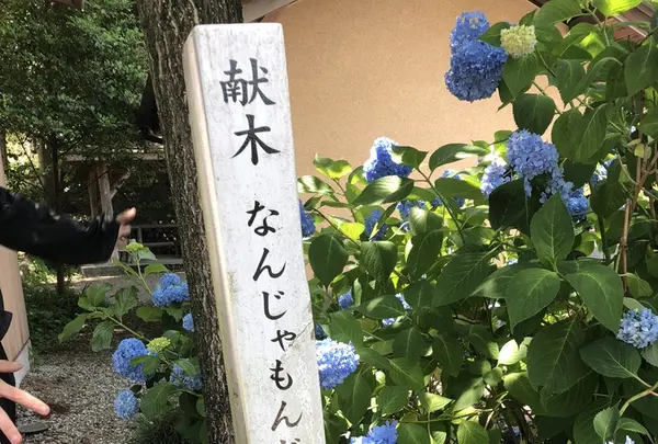 高麗家住宅の写真・動画_image_331630