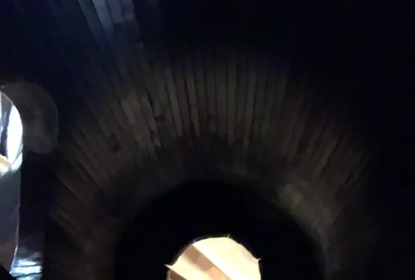 トーベ・ヤンソンあけぼの子どもの森公園の写真・動画_image_331672