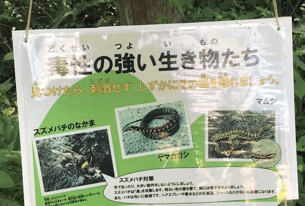 トーベ・ヤンソンあけぼの子どもの森公園の写真・動画_image_331676
