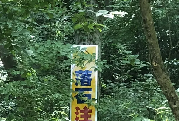トーベ・ヤンソンあけぼの子どもの森公園の写真・動画_image_331679