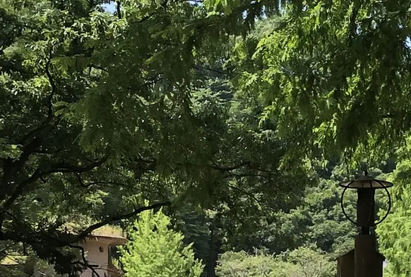 トーベ・ヤンソンあけぼの子どもの森公園の写真・動画_image_331683
