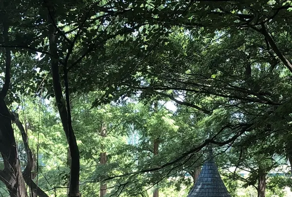 トーベ・ヤンソンあけぼの子どもの森公園の写真・動画_image_331691