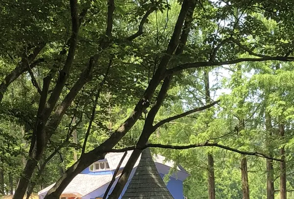 トーベ・ヤンソンあけぼの子どもの森公園の写真・動画_image_331701