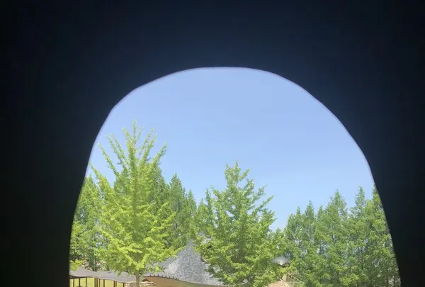 トーベ・ヤンソンあけぼの子どもの森公園の写真・動画_image_331710