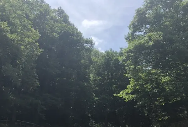 トーベ・ヤンソンあけぼの子どもの森公園の写真・動画_image_331714