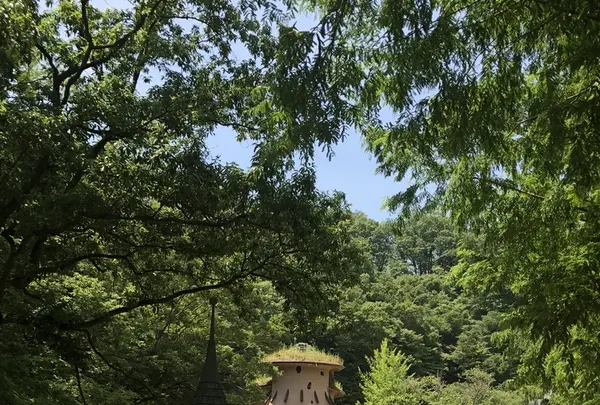 トーベ・ヤンソンあけぼの子どもの森公園の写真・動画_image_331728
