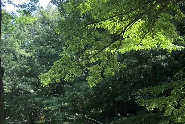 トーベ・ヤンソンあけぼの子どもの森公園の写真・動画_image_331730