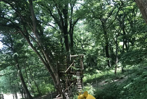 トーベ・ヤンソンあけぼの子どもの森公園の写真・動画_image_331735