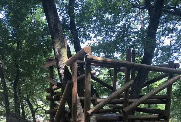 トーベ・ヤンソンあけぼの子どもの森公園の写真・動画_image_331738