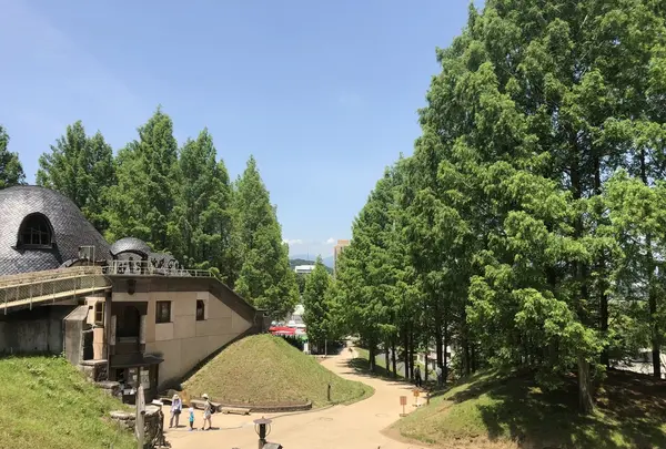 トーベ・ヤンソンあけぼの子どもの森公園の写真・動画_image_331752