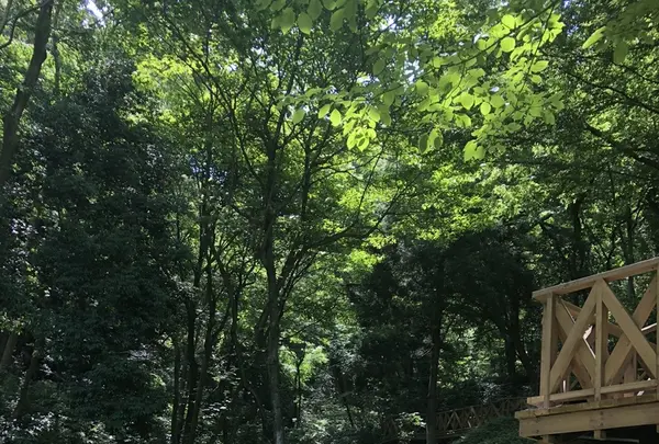 トーベ・ヤンソンあけぼの子どもの森公園の写真・動画_image_331754