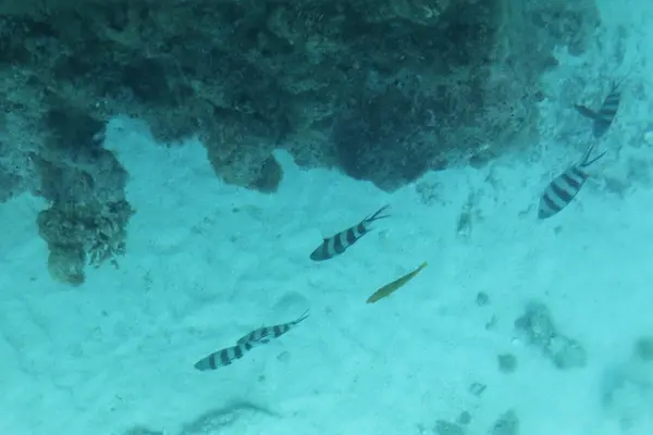 百合ヶ浜の写真・動画_image_331854