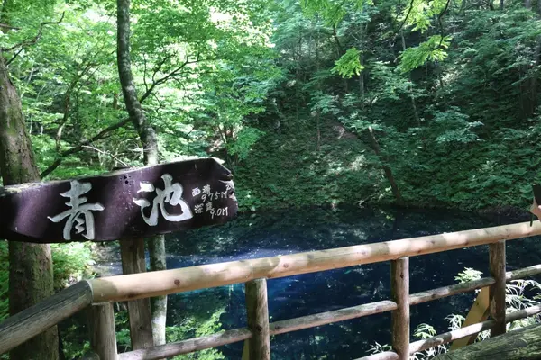 青池の写真・動画_image_331861
