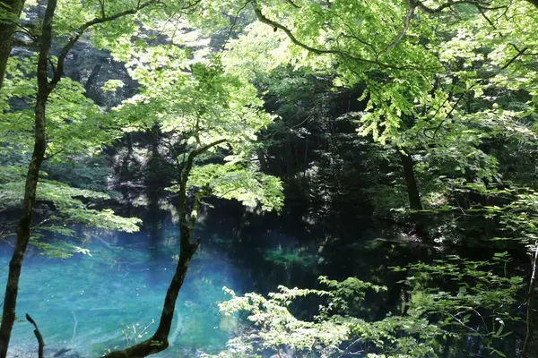 青池の写真・動画_image_331863