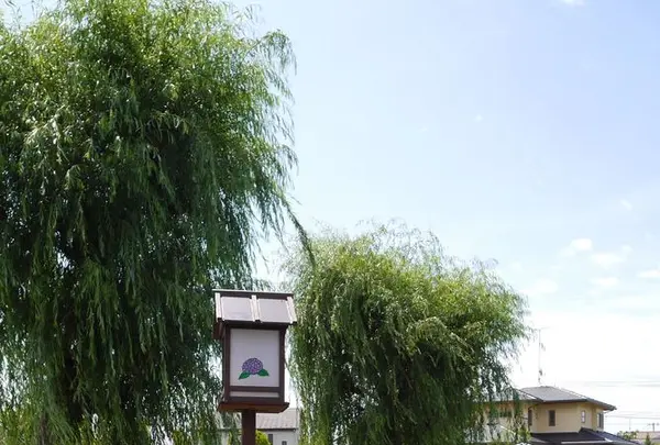 開成あじさいの里の写真・動画_image_332090