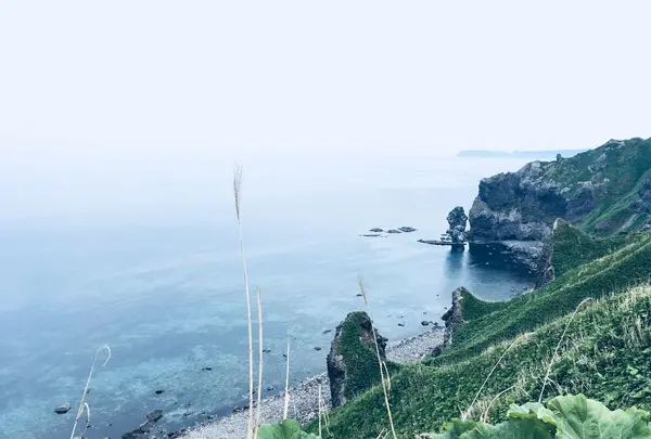 神威岬の写真・動画_image_332334