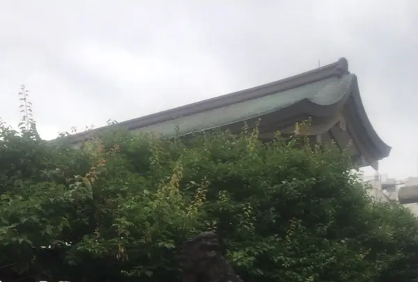 湯島天満宮（湯島天神）の写真・動画_image_332395