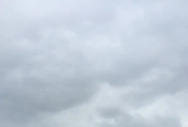 湯島天満宮（湯島天神）の写真・動画_image_332396