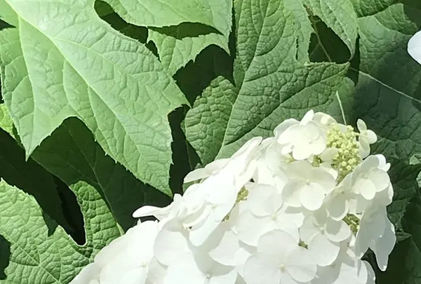 大塚性海寺の写真・動画_image_332419