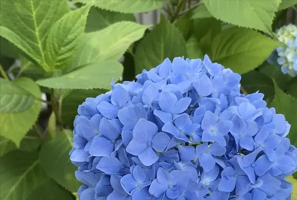 大塚性海寺の写真・動画_image_332420