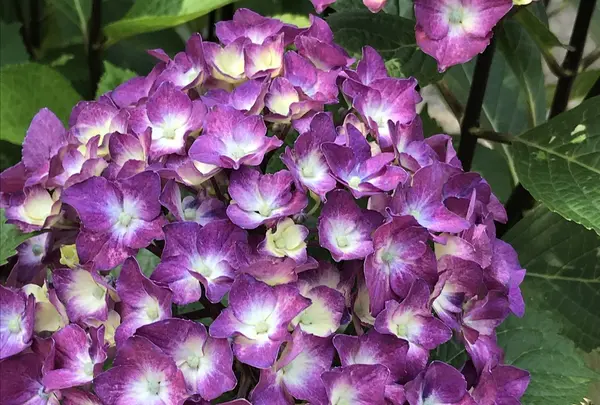 大塚性海寺の写真・動画_image_332421