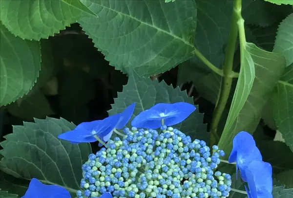 大塚性海寺の写真・動画_image_332422