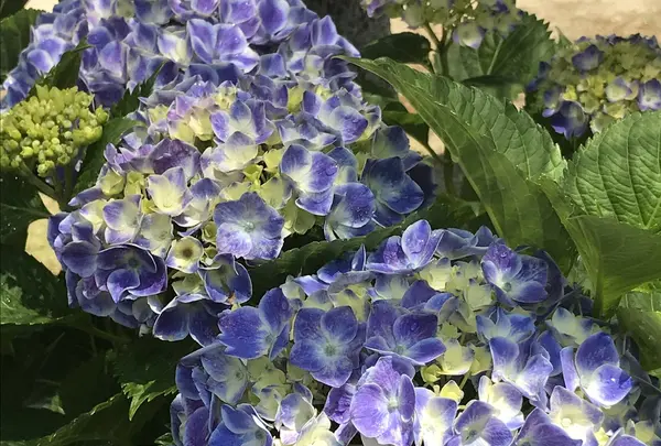 大塚性海寺の写真・動画_image_332423