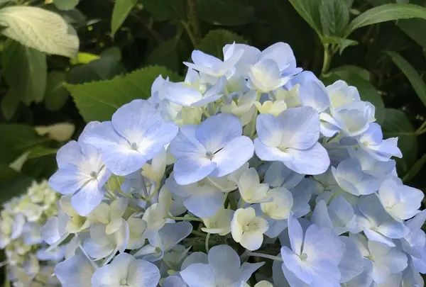 大塚性海寺の写真・動画_image_332424