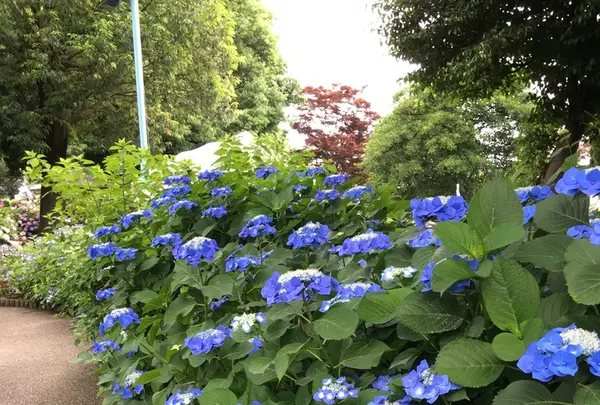 大塚性海寺歴史公園の写真・動画_image_333026
