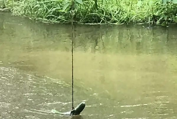 カッパ淵の写真・動画_image_333156