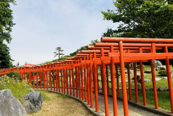 高山稲荷神社の写真・動画_image_333304