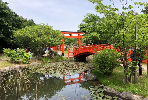 高山稲荷神社の写真・動画_image_333305