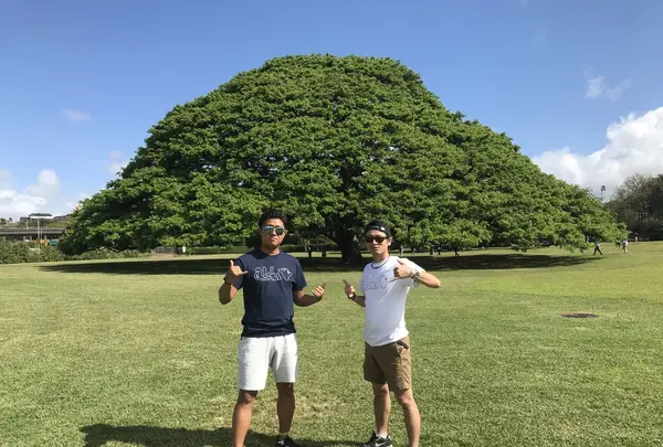 モアナルア・ガーデンズの写真・動画_image_333486