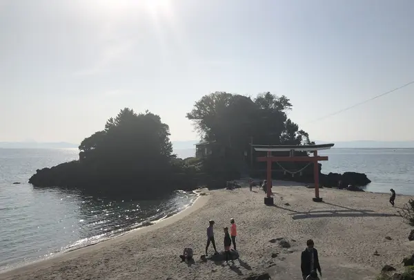 南大隅町 雄川の滝の写真・動画_image_338314