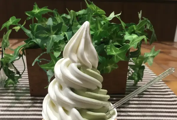 磯沼牧場の写真・動画_image_338350