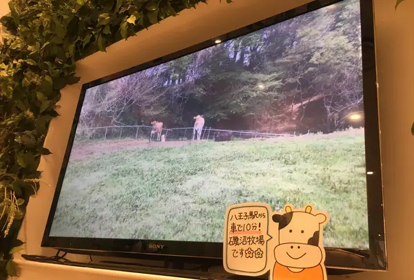 磯沼牧場の写真・動画_image_338355