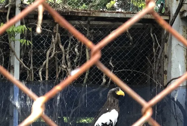 斜里町立知床博物館の写真・動画_image_338404