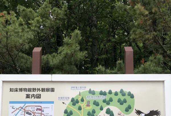 斜里町立知床博物館の写真・動画_image_338406