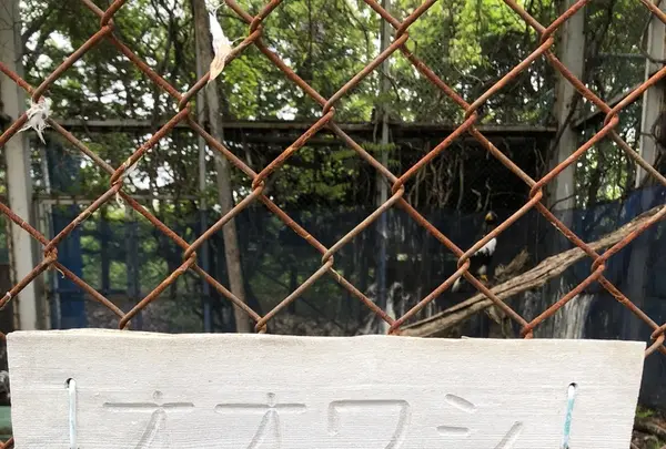 斜里町立知床博物館の写真・動画_image_338408