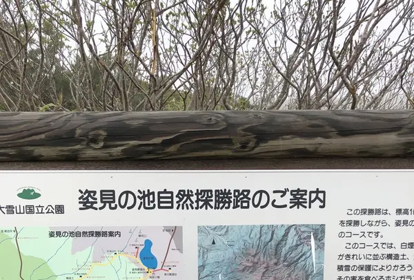 旭岳ロープウェイの写真・動画_image_338466
