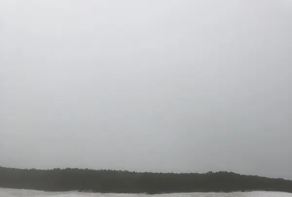 旭岳ロープウェイの写真・動画_image_338481