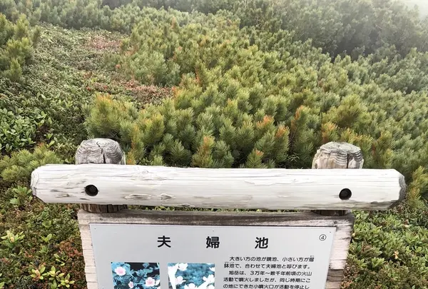 旭岳ロープウェイの写真・動画_image_338491